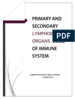 Primary and Secondary Lymphoid Organs