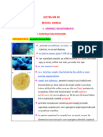 Lectia NR 20 Spongieri, Celenterate