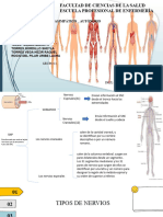 Anatomia Expo 14 11 2020