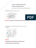 RELATÓRIO DE ANATOMIA 