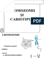 cromozomii_si_cariotipul