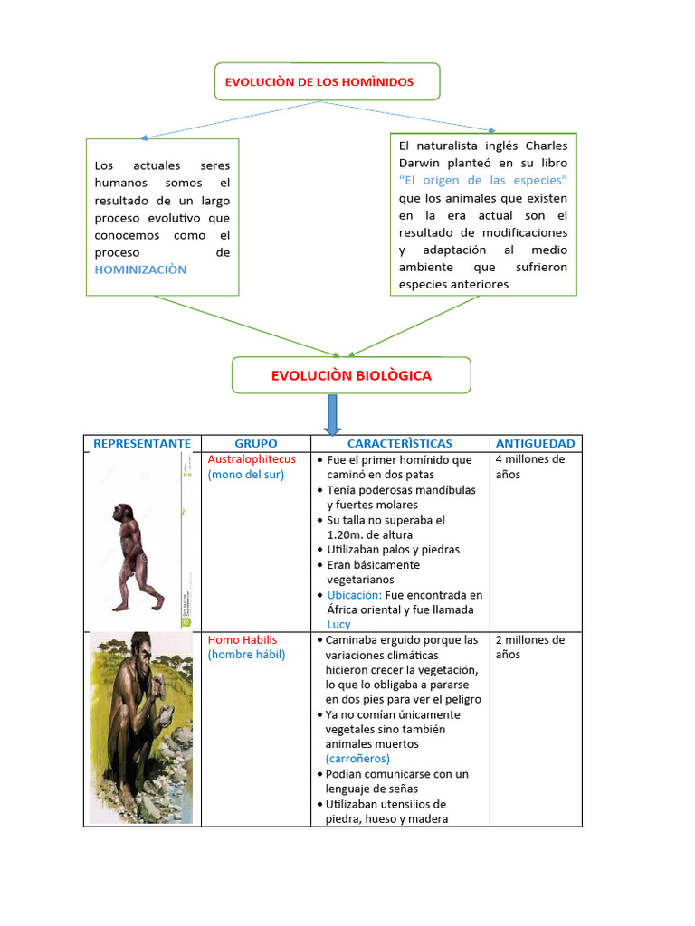 Origen de La Humanidad, Evoluciòn Del S.H | PDF | Homo | Humano