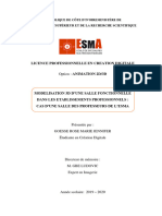 Memoire de Licence Professionnele Creation Digitale Par Goesse Rose Marie Jennifer