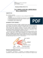 TPN° 3 Carnes, MP 2023 