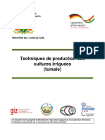 Techniques de Production Des Cultures Irriguées (Tomate) : Republique Du Niger Fraternité - Travail - Progrès