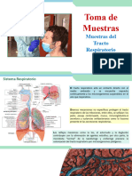 Unidad 1. Tema 5. Muestras de Trancto Respiratorio