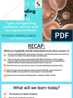 Types of Signalling Pathway Notch Normal and Dysregulated