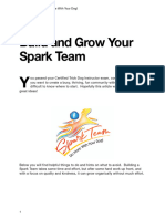 How To Build and Grow Spark Teams