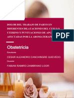 Alejandro Canchingre - Resumen Obstetricia