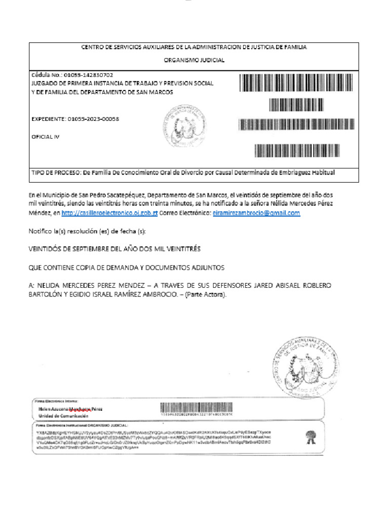 Demanda de Divorcio por Embriaguez Habitual | PDF | Demanda judicial ...