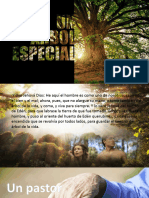 Un Árbol Especial