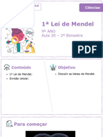 1 Lei de Mendel: 9º ANO Aula 20 - 2º Bimestre