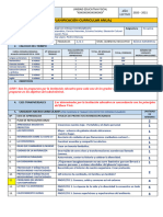 09D08 - FORMATO PCA Tomado Del Instructivo de Planificaciones 2019