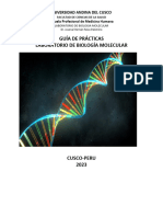 GUIA DE PRÁCTICAS N°7 cualifiación de ADN (1)