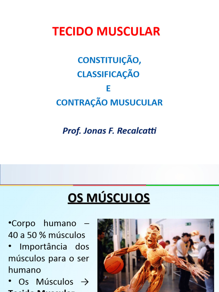 23092022083204tecido Muscular | PDF | Bem-estar