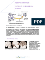 Neurociencias EXPO 2neurofisiologia