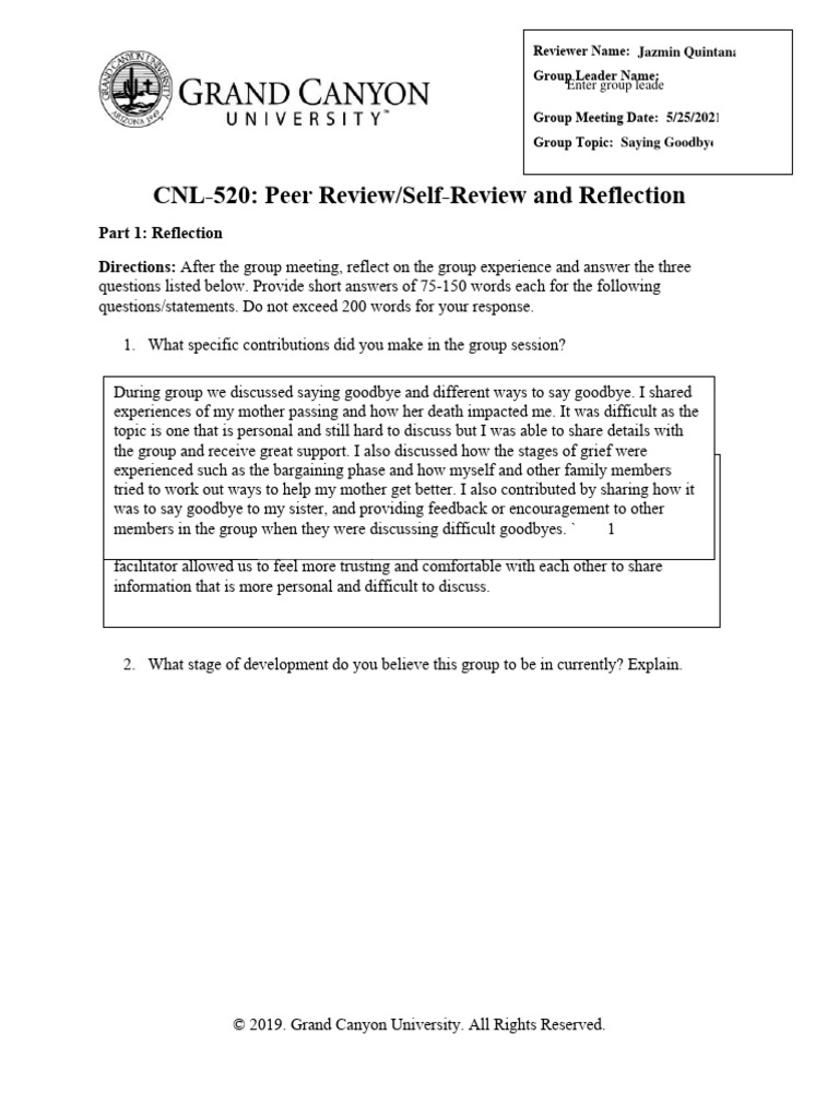 CNL-520: Peer Review/Self-Review and Reflection | PDF | Grief ...