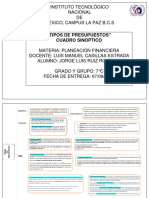 Tarea Cuadro Sinoptico Presupuesto Ruiz