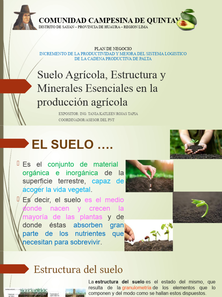 Suelo Agricola Quintay | PDF | Suelo | Química