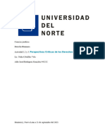 Perspectivas Críticas de Los Derechos Humanos