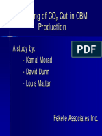 Modelling CO2 Cut in CBM - Fekete