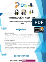 Capacitación PROTECCIÓN AUDITIVA