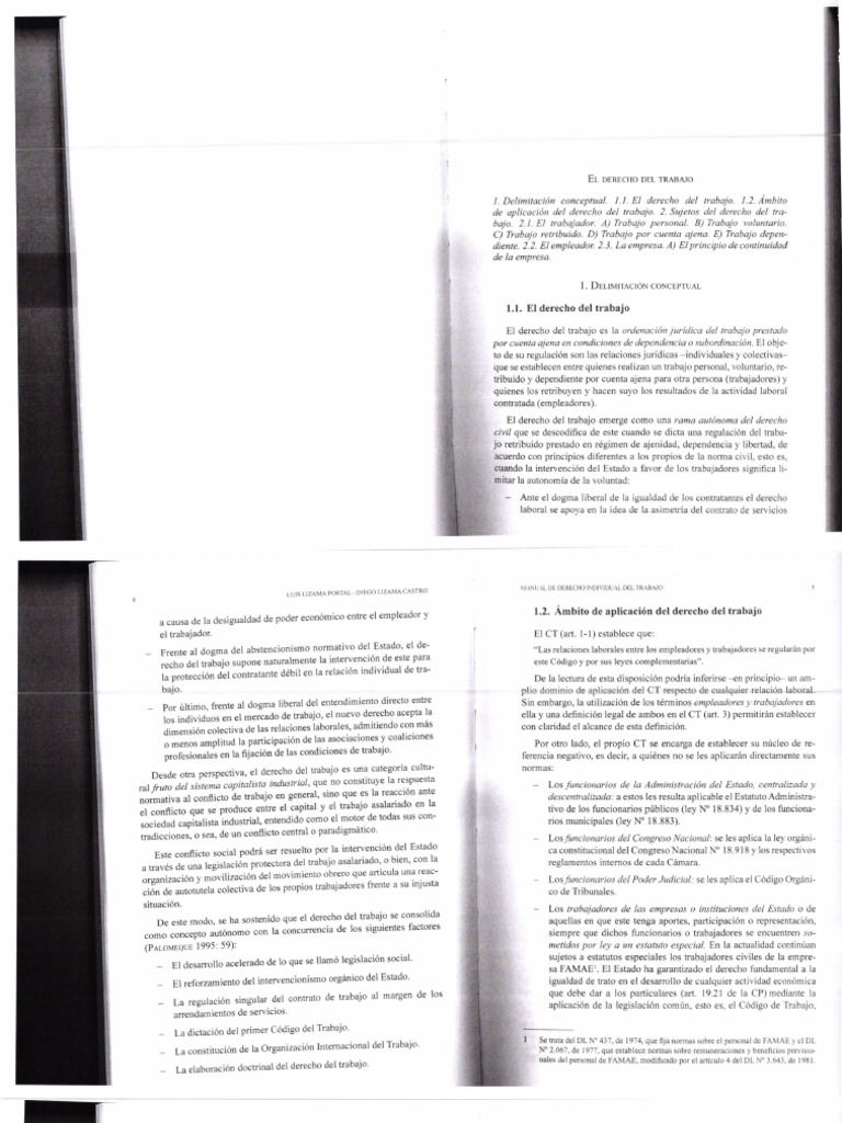 Delimitación Conceptual y Sujetos Del D° Del Trabajo PDF Derecho