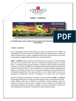 208 Shrek Release PDF