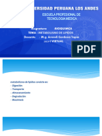 Teoria Metabolismo de Lípidos