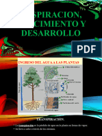 Clase 8 de Fisiologia Vegetal Transpiracion Add