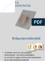 1.4 Bolsa Periodontal