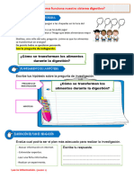 D3 A1 FICHA CT. ¿Cómo Funciona Nuestro Sistema Digestivo