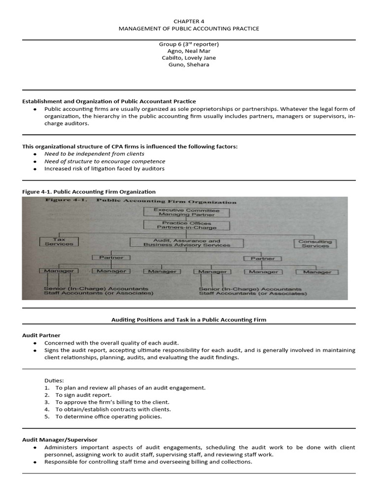 Audit And Assurance Report Pdf Audit Accounting