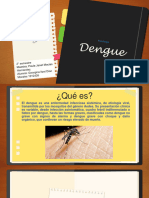 Patologia Dengue
