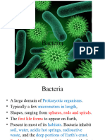 3 Bacteria