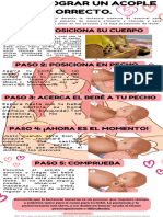 Infografía Maternidad Lactancia Materna Pasos y Consejos Suave Ilustrado Rosa