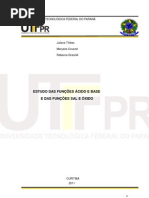 Relatorio 01 - Acidos, Bases, Sais e Oxidos - Pronto (1) (1)