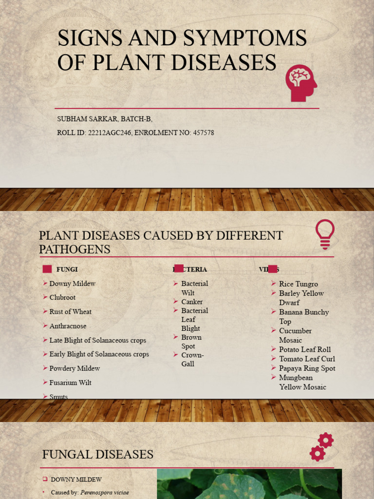 Plant Disease Symptoms and Causes | PDF | Leaf | Plant Pathology