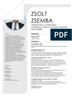 Zsolt Zsemba CV