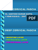 Deep Cervical Fascia