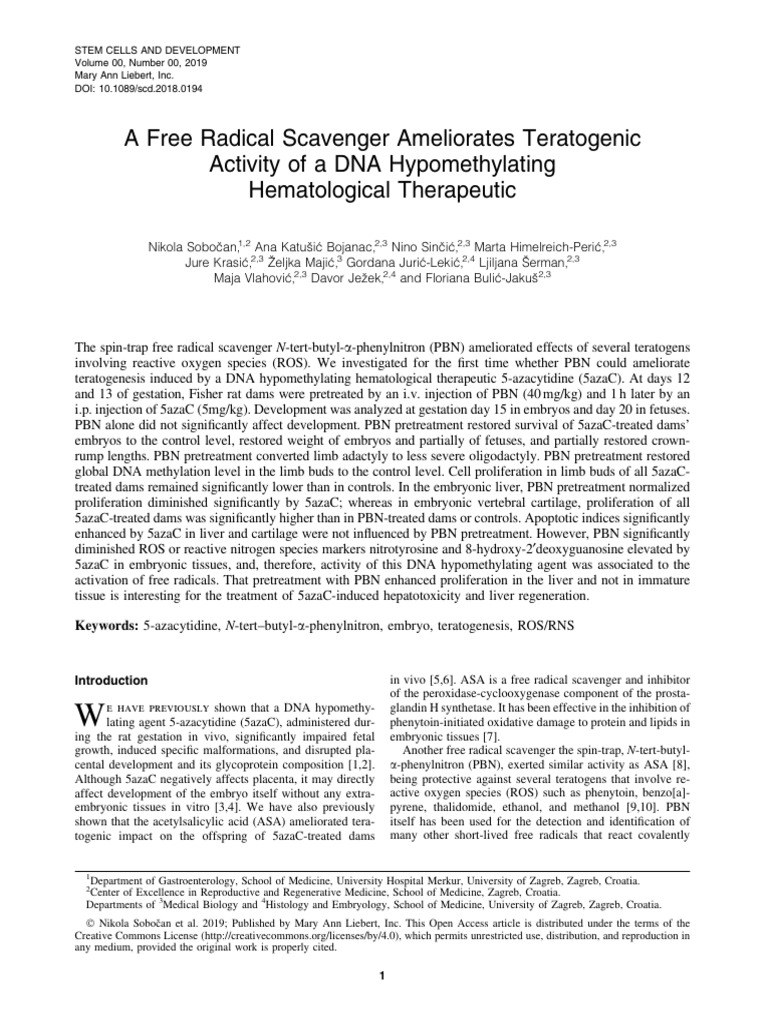 A Free Radical Scavenger Ameliorates Teratogenic Activity of A DNA