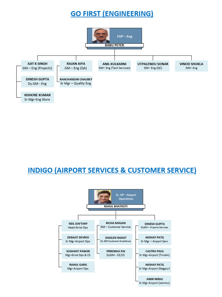 GoFirst Org Chart | PDF | Business | Computers