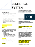 The Skeletal System