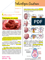 Embriogênese Cardíaca