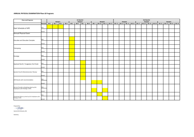 APE - Ghant Chart | PDF