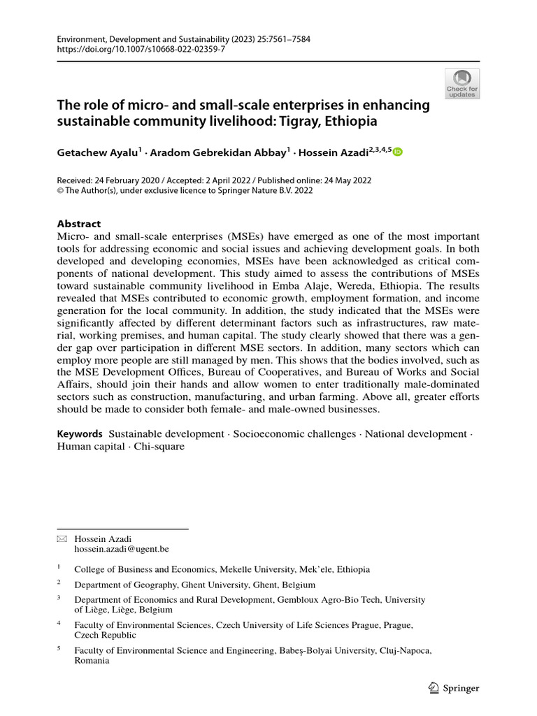 The Role of Micro and Small Scale Enterprises in Enhancing Sustainable ...