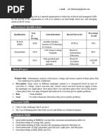 Manual Testing Navi Resume