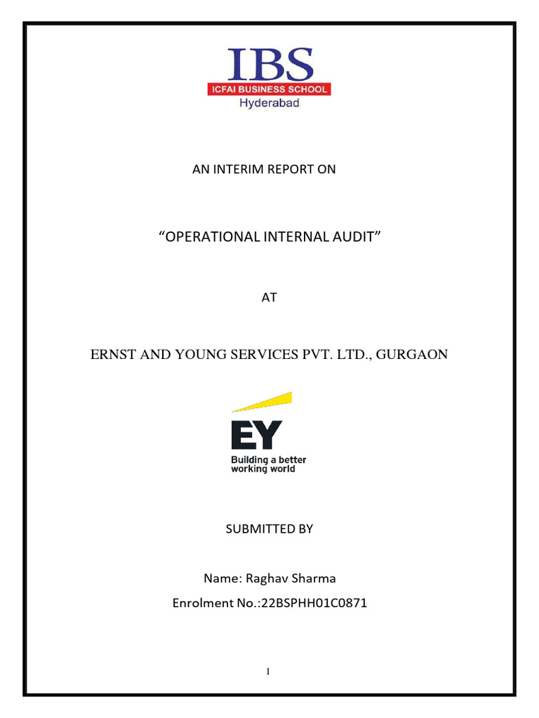 EY Internal Audit Operations Report | PDF | Internal Audit | Internal ...