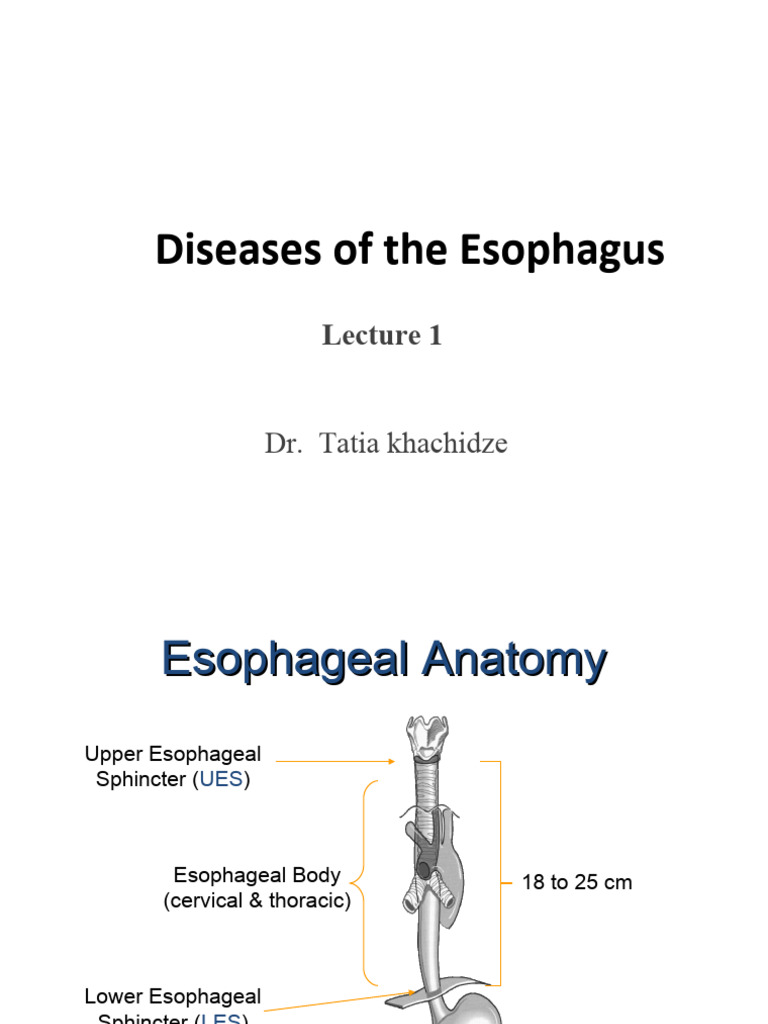 Esophagus visual data 6