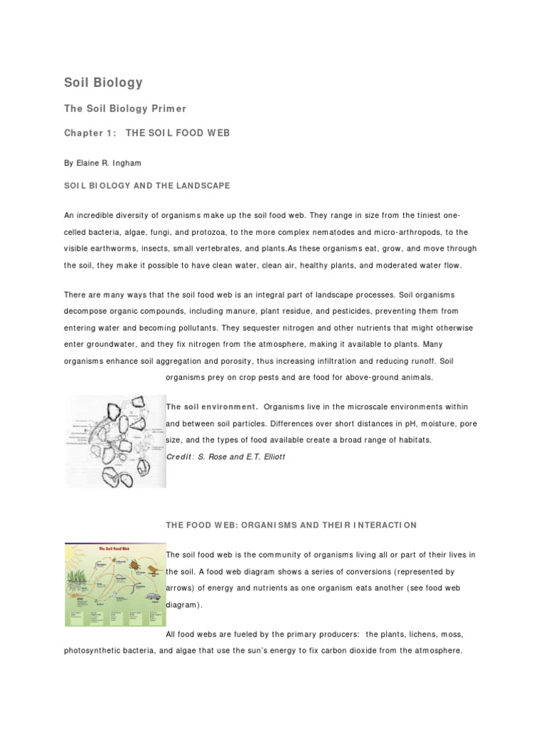 Soil Biology The Soil Biology Primer Cha PDF Soil Fungus